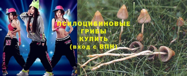 МДПВ Зеленокумск