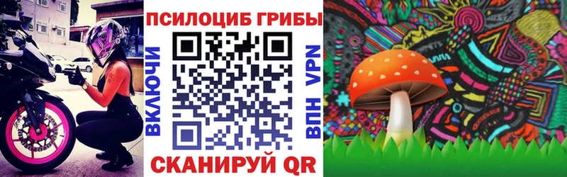 OMG вход  Славск  Псилоцибиновые грибы мицелий 